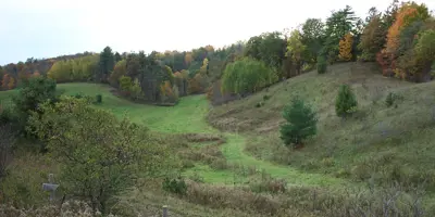 Decorative - picture of a meadow with hills